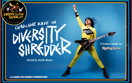 Charlene Kaye: Diversity Shredder